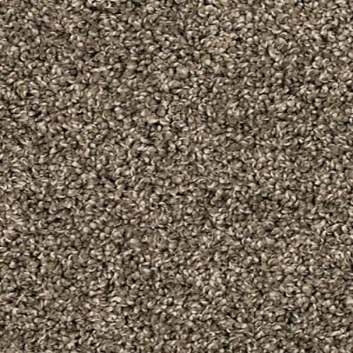Canine Chic in Matte Carpet