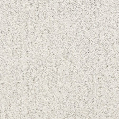 Monterey in Presidio Carpet