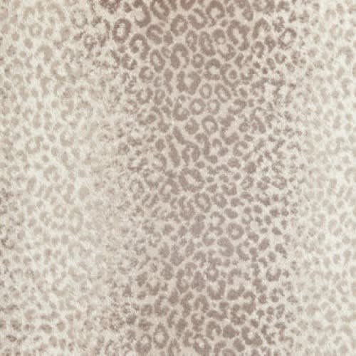 Mufasa in Praline Carpet