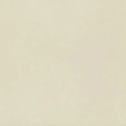 Neoconcrete in White-12x24-Light Polished Tile