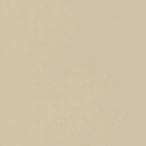 Neoconcrete in Beige-24x24-Light Polished Tile