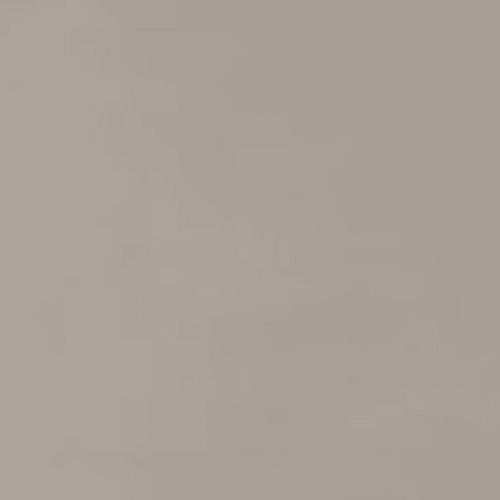 Neoconcrete in Light Gray-24x24-Matte Tile