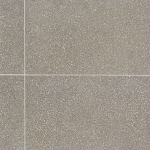 Neospeck in Medium Gray-24x24-Light Polished Tile