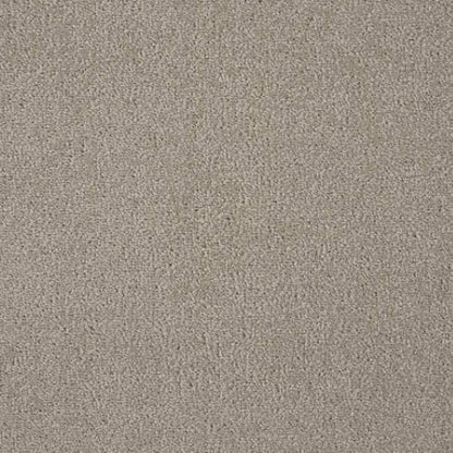 Majesty 2 in Shalestone Carpet