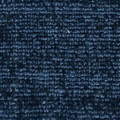 Nexus Hype in Navy Carpet