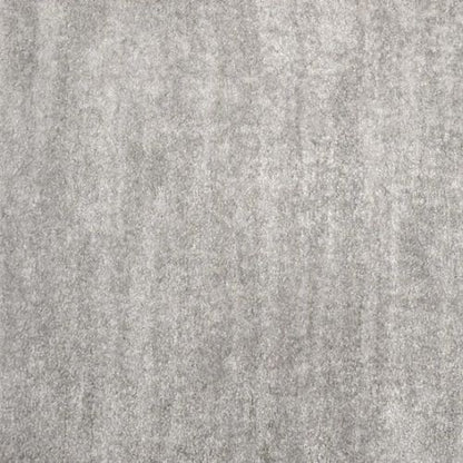 Holland Park in Nickel Carpet