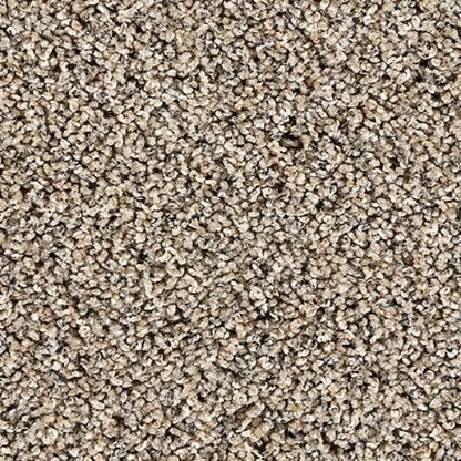 Restorative I in Country Squire Carpet