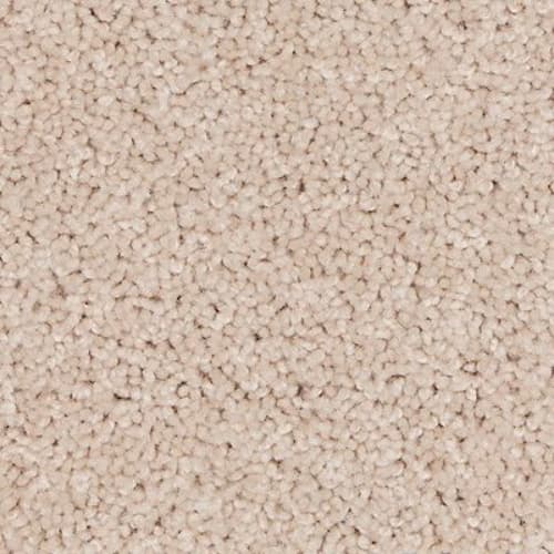 Natural Purpose in Celebration Carpet