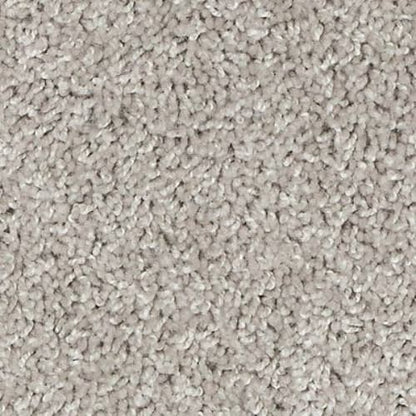 Authentic Voice in Suede Carpet