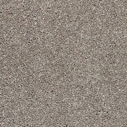 Natural Refinement I in Mineral Grey Carpet
