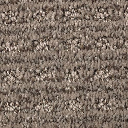 Ultimate Image in Rustic Taupe Carpet