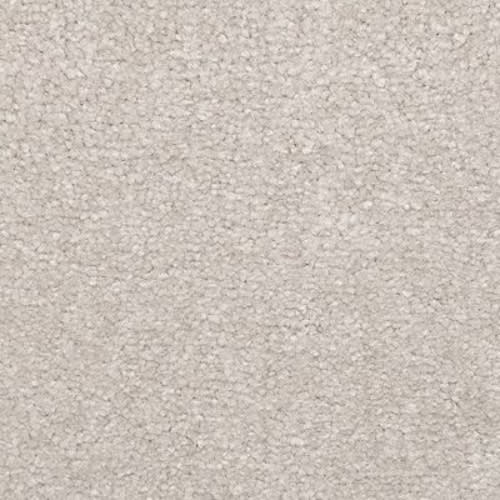 Homemade II in Memories Carpet