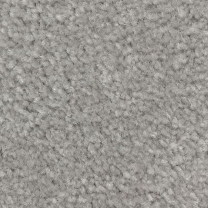 Homefront II in Aspen Summit Carpet