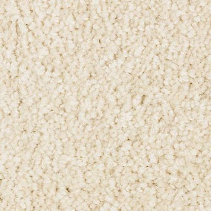 Elegant Appeal III