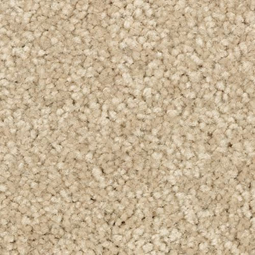 Elegant Appeal I in Autumn Glow Carpet
