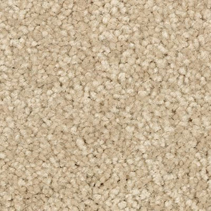 Elegant Appeal I in Autumn Glow Carpet