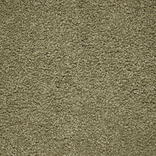Peaceful Elegance