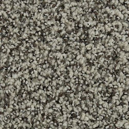 Natural Opulence I in Winter's End Carpet