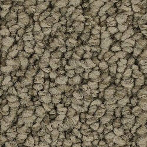 Cozy Classic in Taupe Whisper Carpet