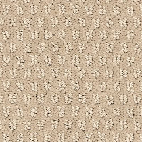 Vintage Glamour in Old School Carpet