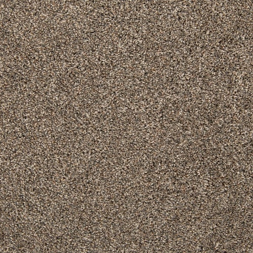 Color Classics II in Gravity Carpet