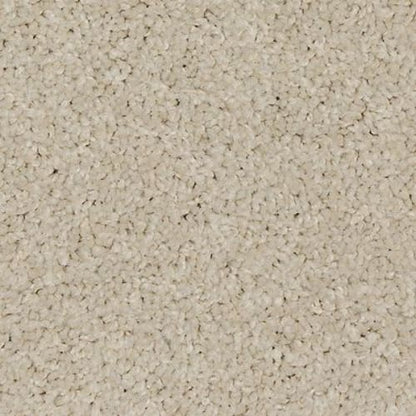 Up The Ante in Antique White Carpet