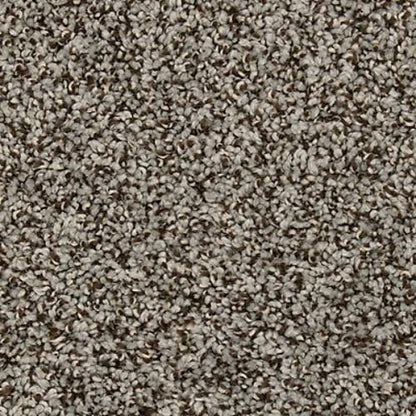 Renovate I in Mercury Shadows Carpet