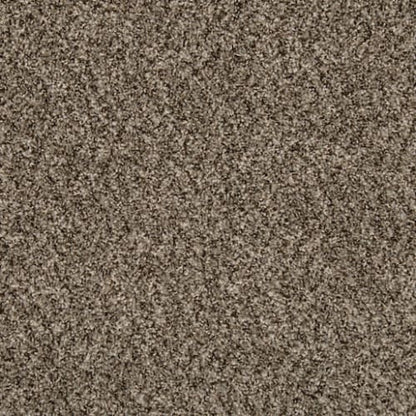 Renovate II