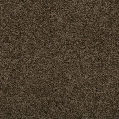 Renovate II