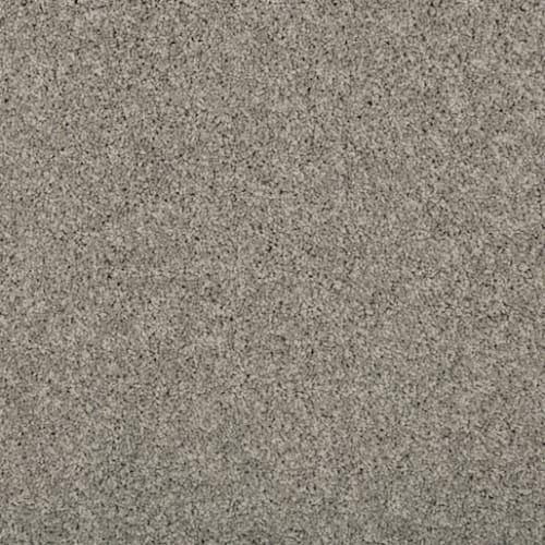 Renovate II in Winter Ash Carpet