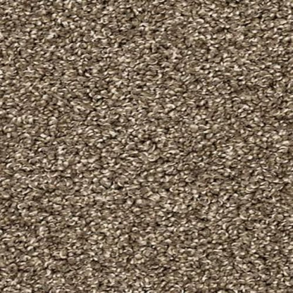 Diffurent Choice III in Legend Carpet