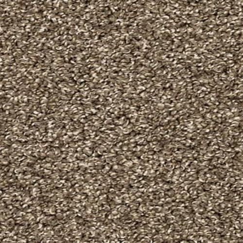Diffurent Choice III in Legend Carpet