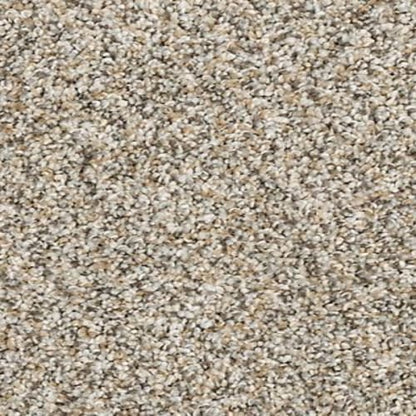 Claws And Effect I in Soapstone Carpet