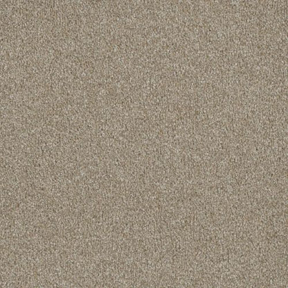 Luxor II in Outback Carpet