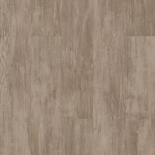 PURVIEW SPC CLICK in Patina