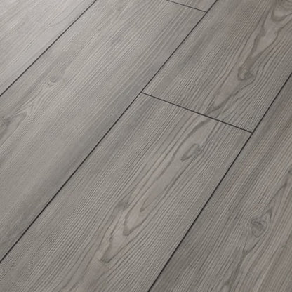 PARAGON 7" PLUS in Fresh Pine