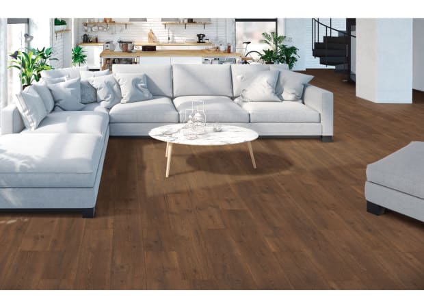 Originals Foundations in Blazer Laminate