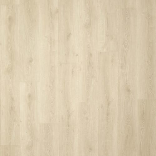 Preferred LeGrand in Lantern