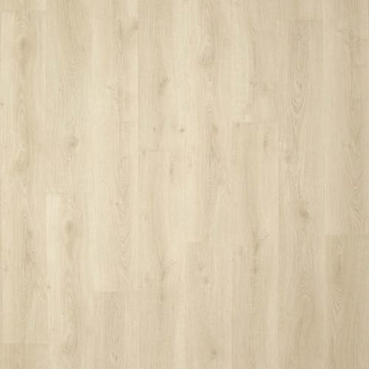 Preferred LeGrand in Lantern
