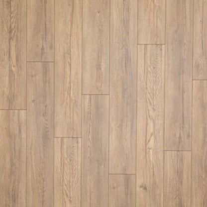Originals Chancing in Reverence Oak