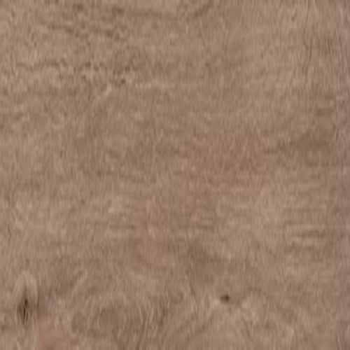 ProSeries - Pines Terrace - 8 mil in Ginger Luxury Vinyl