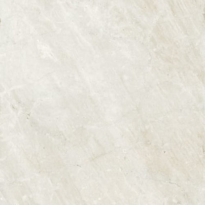Portugal in Velho White 24"x24" Unpolished