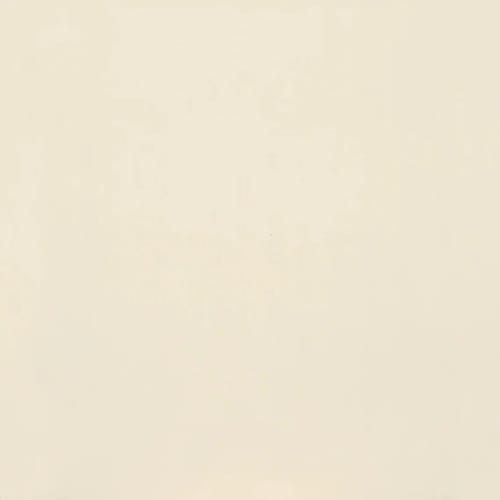 Clay Canvas in Paint-24x24-Polished Tile