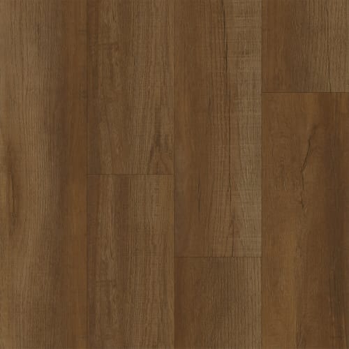Perseverance in Cedar