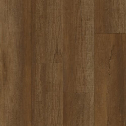 Perseverance in Cedar