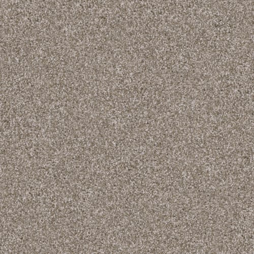 Pyrenees in Yorkie Carpet
