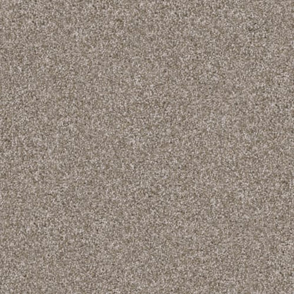 Pyrenees in Yorkie Carpet