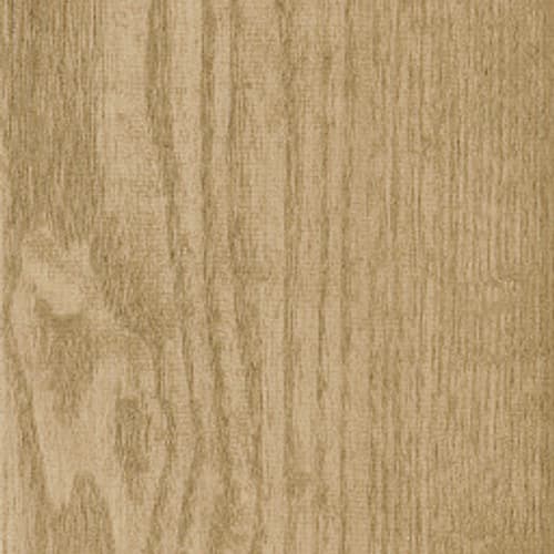 SYMBIOTIC 12 in Sandstone