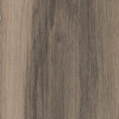SYMBIOTIC 12 in Sparrow