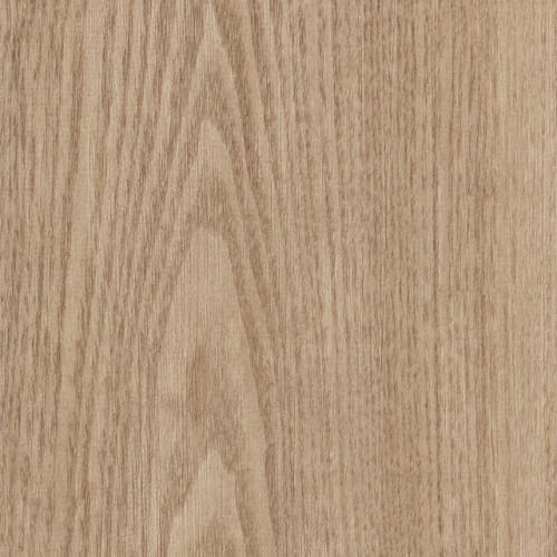 SYMBIOTIC 20 in Sandstone